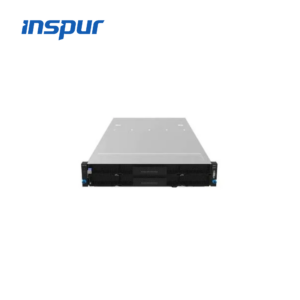 Inspur NF5266M5 Server